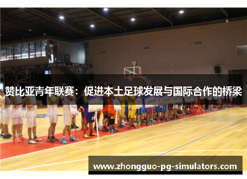 赞比亚青年联赛:促进本土足球发展与国际合作的桥梁 赞比亚青年联赛:促进本土足球发展与国际合作的桥梁