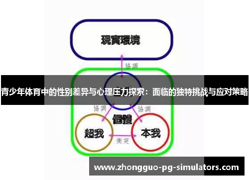 青少年体育中的性别差异与心理压力探索：面临的独特挑战与应对策略