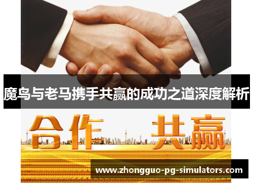 魔鸟与老马携手共赢的成功之道深度解析 魔鸟与老马携手共赢的成功之道深度解析